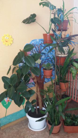 /Files/images/gruppa_11/20160309_105012.jpg
